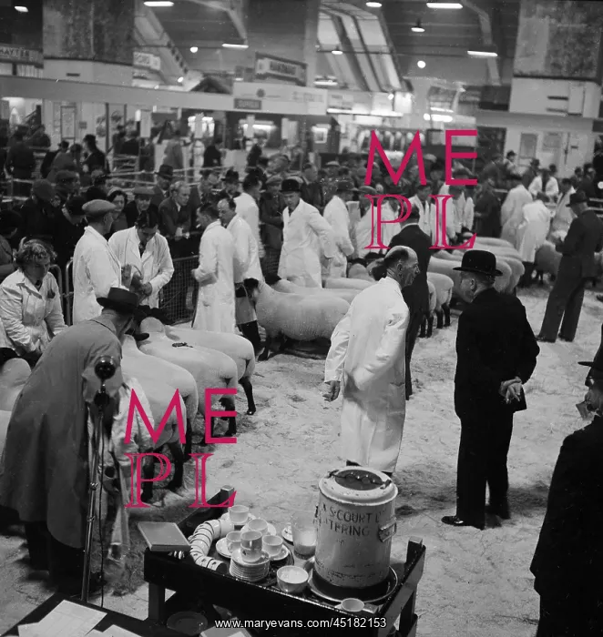 : Royal Smithfield Show 1954 : Royal Smithfield Show 1954