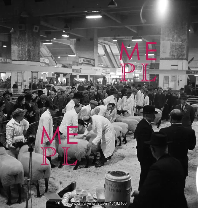 : Royal Smithfield Show 1954 : Royal Smithfield Show 1954