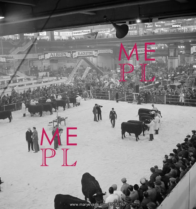 : Royal Smithfield Show 1954 : Royal Smithfield Show 1954