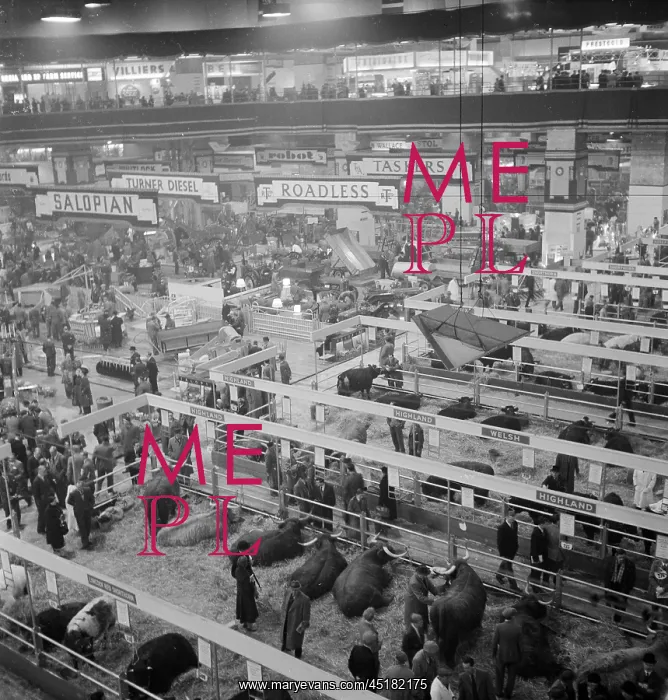 : Royal Smithfield Show 1954 : Royal Smithfield Show 1954