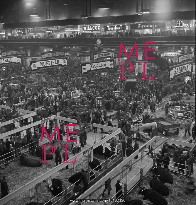: Royal Smithfield Show 1954 : Royal Smithfield Show 1954