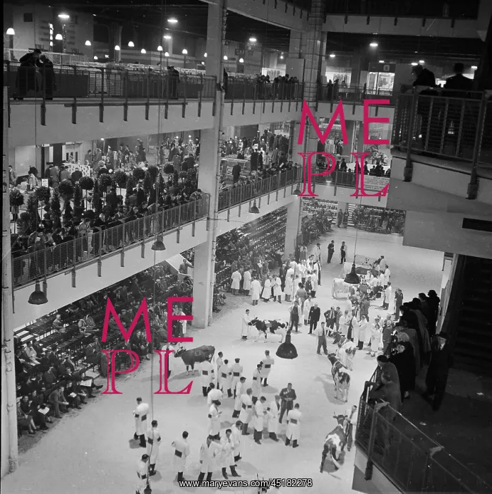 : Royal Smithfield Show 1955 : Royal Smithfield Show 1955