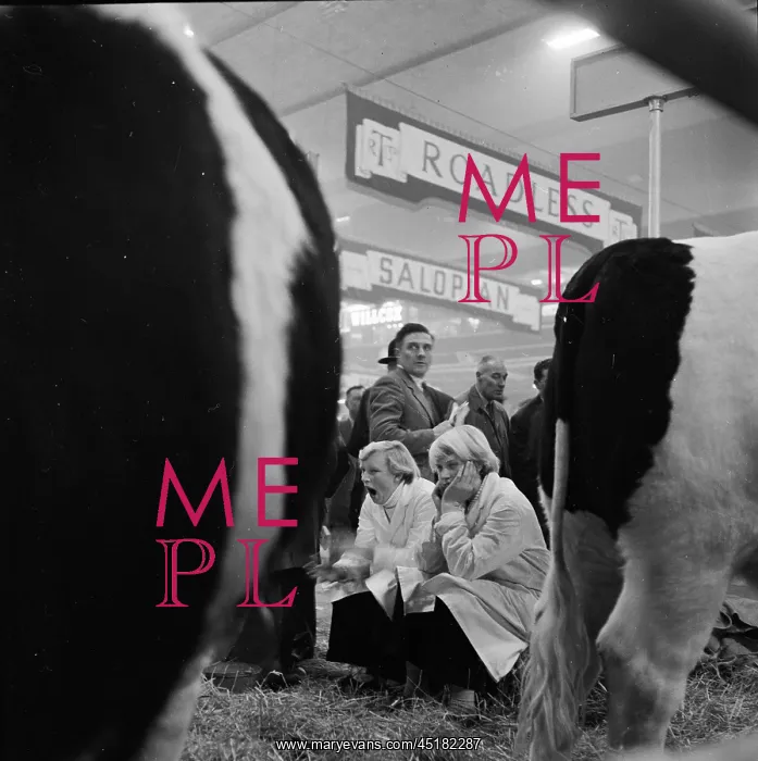 : Royal Smithfield Show 1955 : Royal Smithfield Show 1955