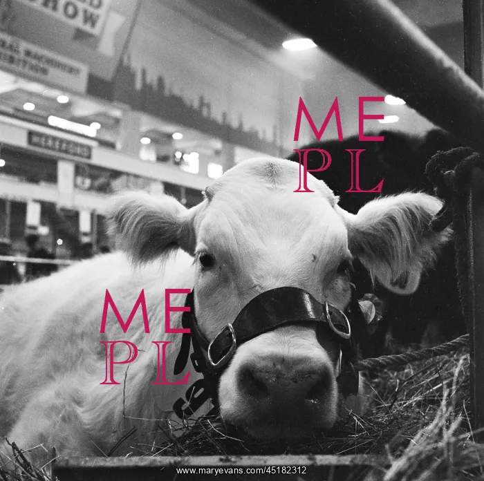 : Royal Smithfield Show 1956 : Royal Smithfield Show 1956