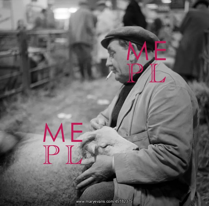 : Royal Smithfield Show 1957 : Royal Smithfield Show 1957