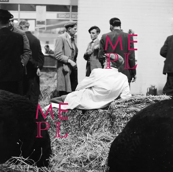 : Royal Smithfield Show 1958 : Royal Smithfield Show 1958