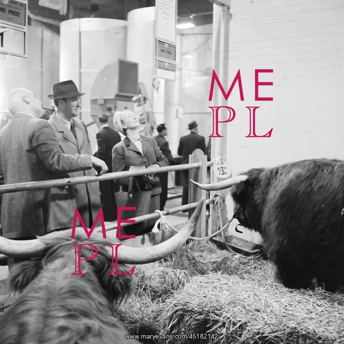 : Royal Smithfield Show 1958 : Royal Smithfield Show 1958