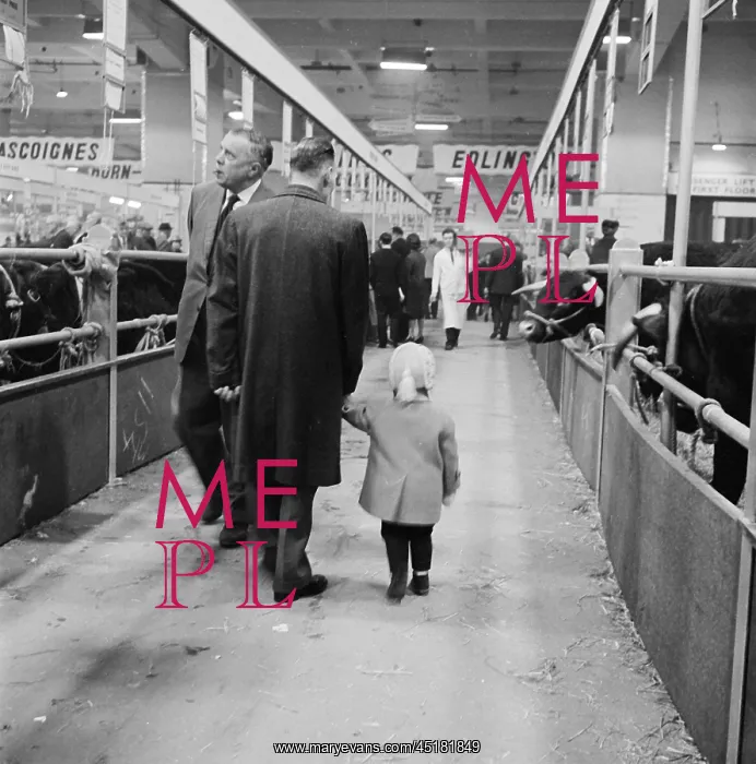 : Royal Smithfield Show 1963 : Royal Smithfield Show 1963