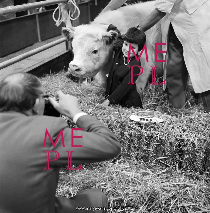 : Royal Smithfield Show 1963 : Royal Smithfield Show 1963