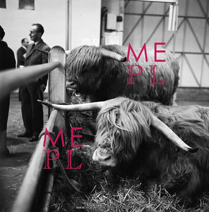 : Royal Smithfield Show 1963 : Royal Smithfield Show 1963