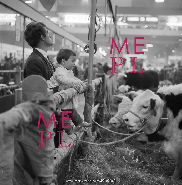 : Royal Smithfield Show 1963 : Royal Smithfield Show 1963