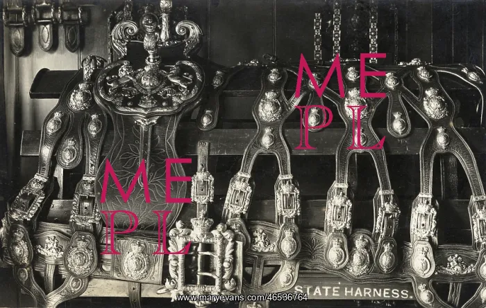 : The Royal State Harness : The Royal State Harness