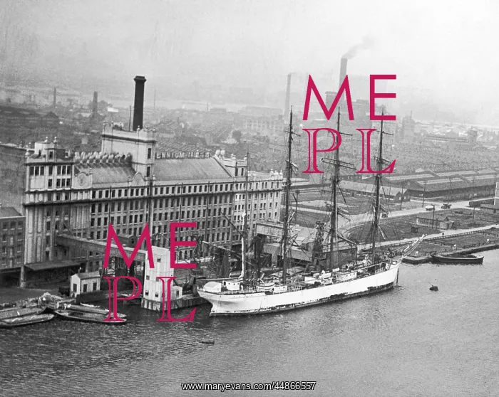 : ROYAL VICTORIA DOCK : ROYAL VICTORIA DOCK