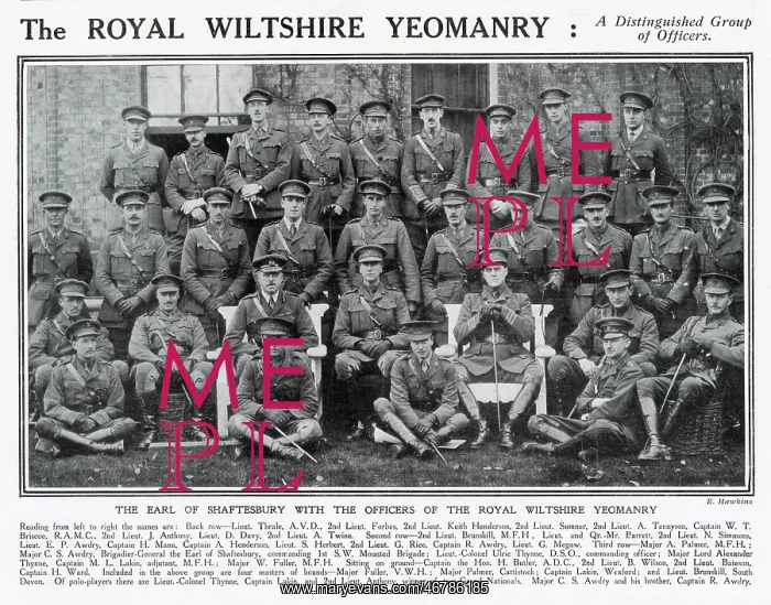 : Royal Wiltshire Yeomanry : Royal Wiltshire Yeomanry
