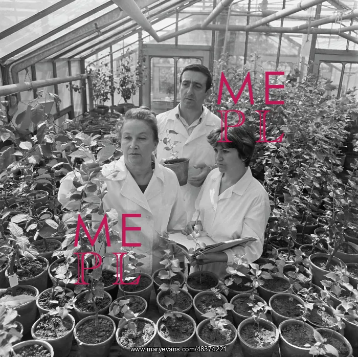 : RPA Kordu. USSR. July 1, 1982. Biology PhD, RPA Kordu Virology department : RPA Kordu. USSR. July 1, 1982. Biology PhD, RPA Kordu Virology department