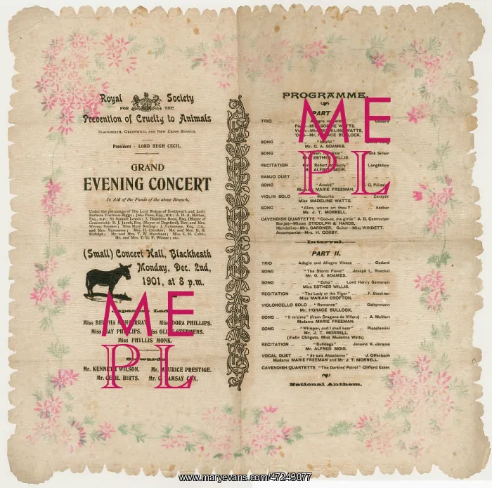 : RSPCA CHARITY CONCERT : RSPCA CHARITY CONCERT
