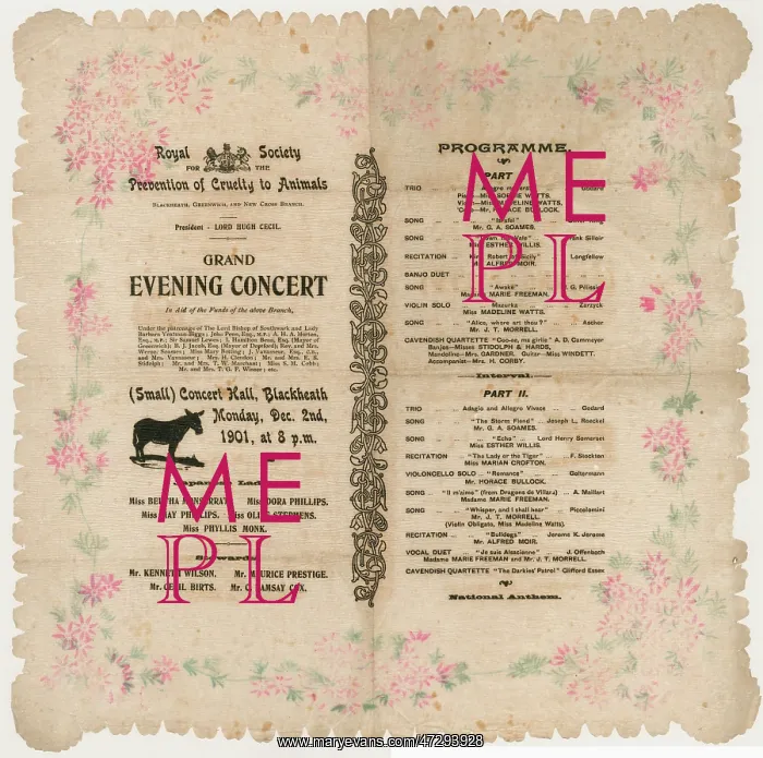 : RSPCA CONCERT BLACKHEATH : RSPCA CONCERT BLACKHEATH