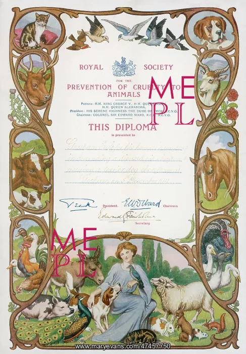 : RSPCA DIPLOMA : RSPCA DIPLOMA