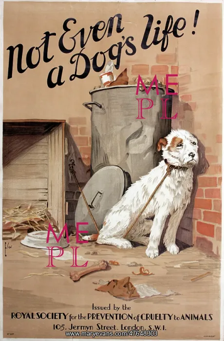 : RSPCA poster, Not even a dog's life! : RSPCA poster, Not even a dog's life!