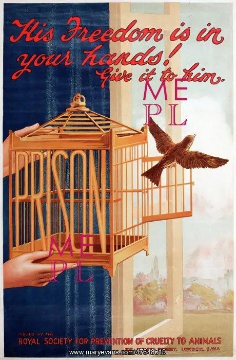 : RSPCA poster, His freedom is in your hands! : RSPCA poster, His freedom is in your hands!