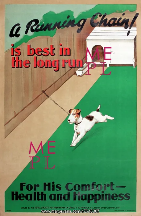 : RSPCA poster, A Running Chain! : RSPCA poster, A Running Chain!