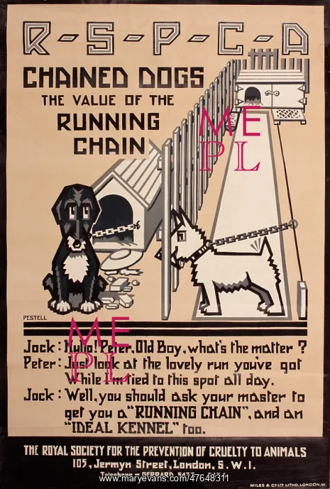 : RSPCA poster, The value of the running chain : RSPCA poster, The value of the running chain