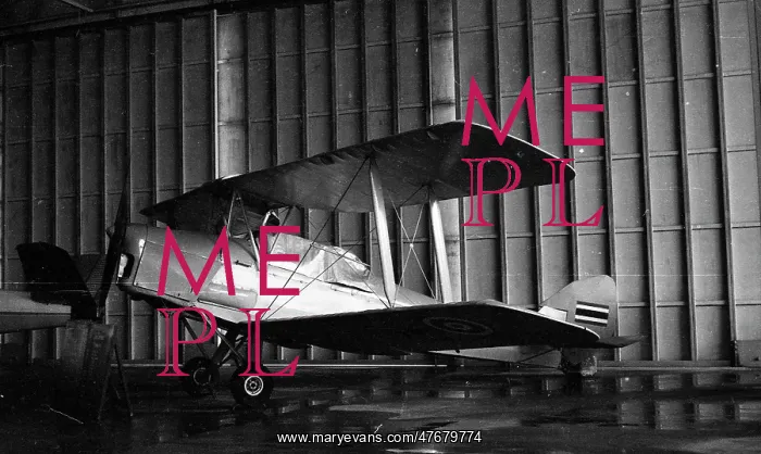 : RTAF Museum - Tiger Moth : RTAF Museum - Tiger Moth