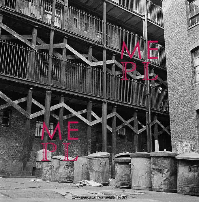 : Rubbish Bins : Rubbish Bins