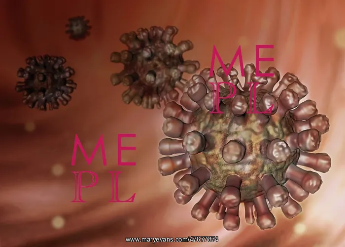 : Rubella Virus, Illustration : Rubella Virus, Illustration
