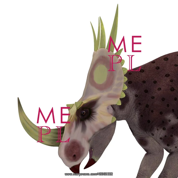 : Rubeosaurus dinosaur head : Rubeosaurus dinosaur head
