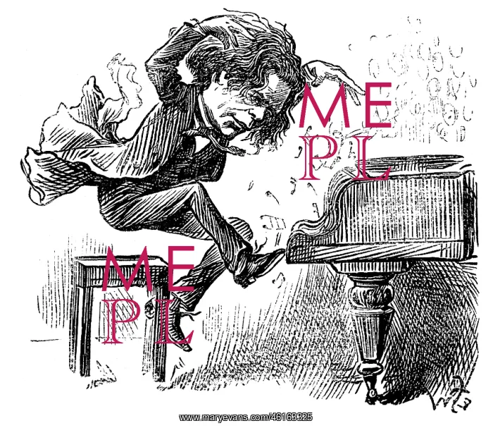 : Rubinstein plays the Piano : Rubinstein plays the Piano