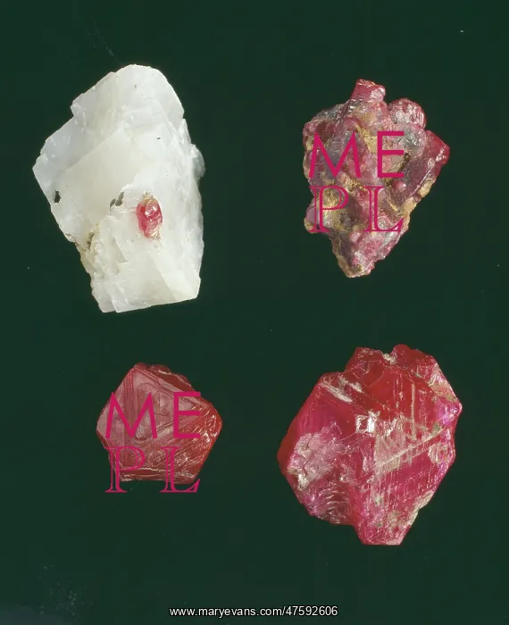 : Ruby and Sapphire : Ruby and Sapphire