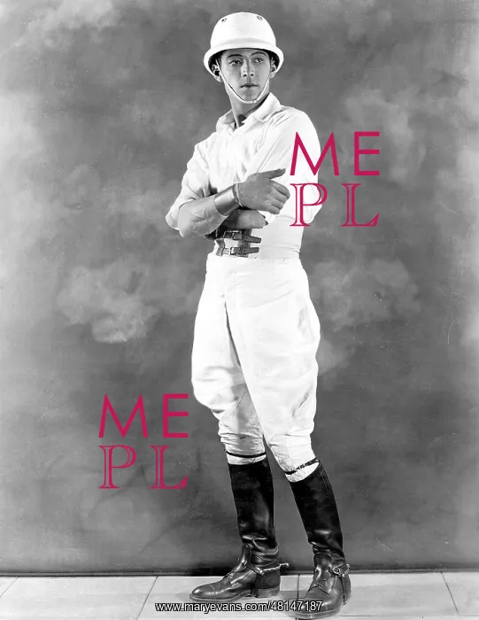 : Rudolph Valentino, 1920 : Rudolph Valentino, 1920