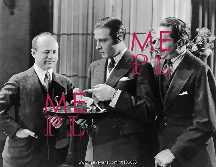 : Rudolpho Valentino : Rudolpho Valentino