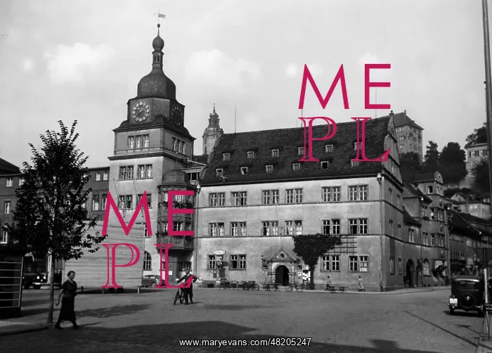 : Rudolstadt in the Thuringian Forest : Rudolstadt in the Thuringian Forest