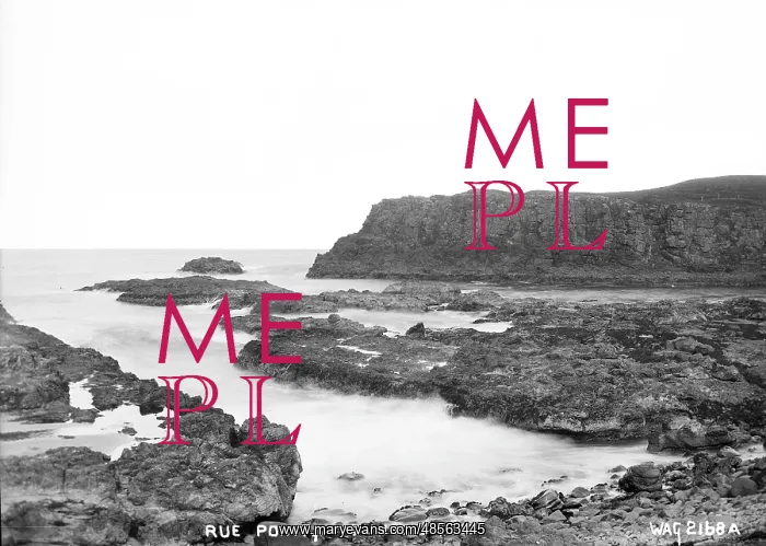 : Rue Point, Dunseverick : Rue Point, Dunseverick
