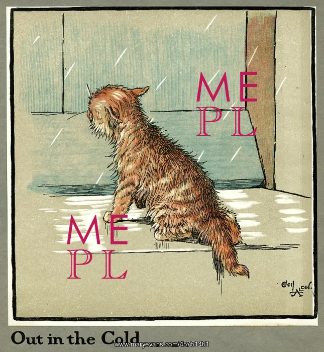 : Rufus the cat out in the cold and rain : Rufus the cat out in the cold and rain
