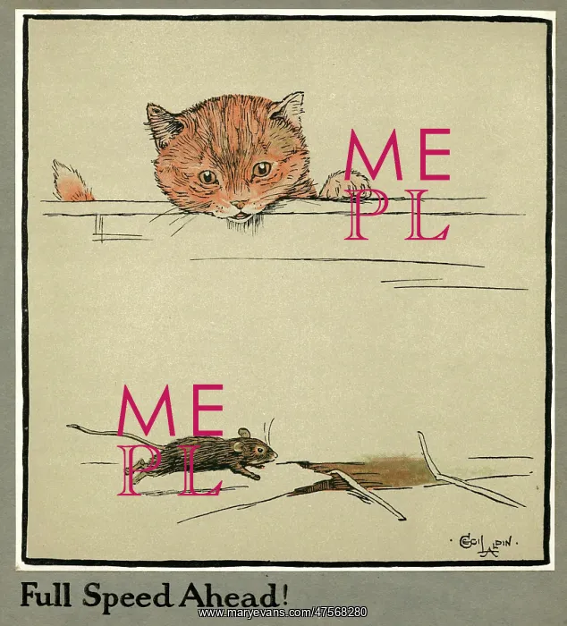 : Rufus the cat watches a mouse : Rufus the cat watches a mouse