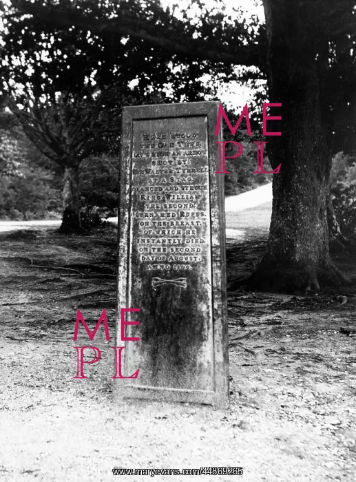 : THE RUFUS STONE : THE RUFUS STONE