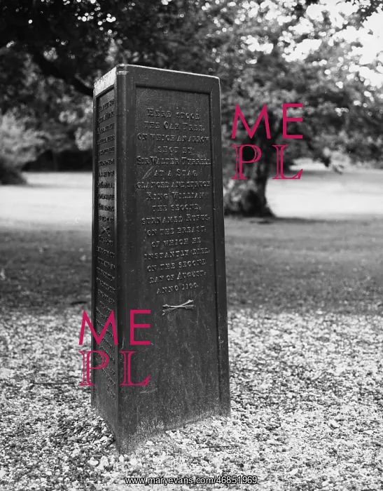 : THE RUFUS STONE : THE RUFUS STONE