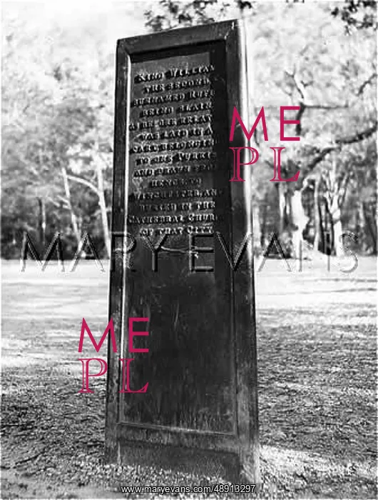 : THE RUFUS STONE : THE RUFUS STONE