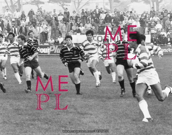  : Rugby match, Cornwall v Japan