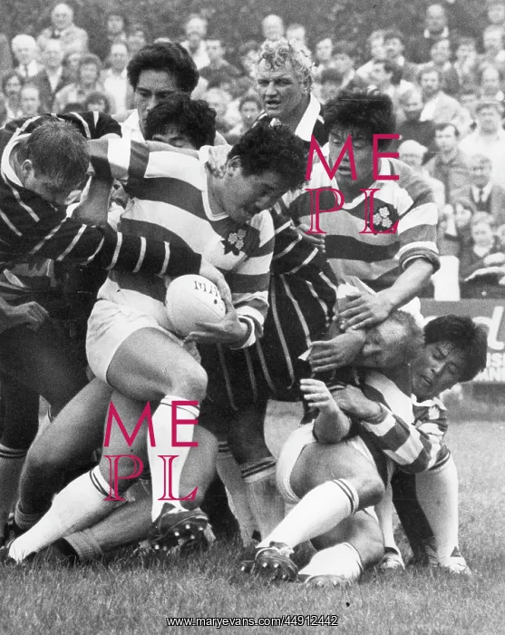  : Rugby match, Cornwall v Japan