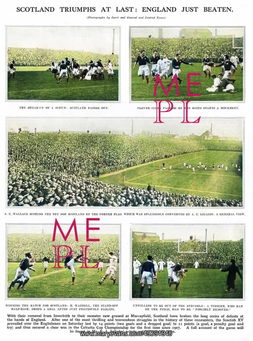 : Rugby at Murrayfield stadium, Scotland : Rugby at Murrayfield stadium, Scotland