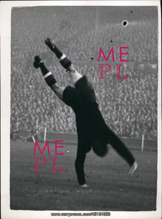 : Rugby - Soccer : Rugby - Soccer