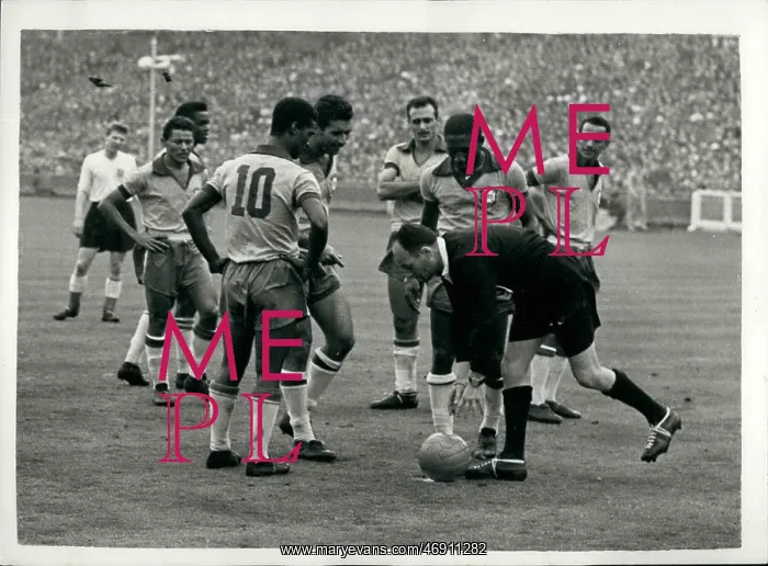 : Rugby - Soccer : Rugby - Soccer