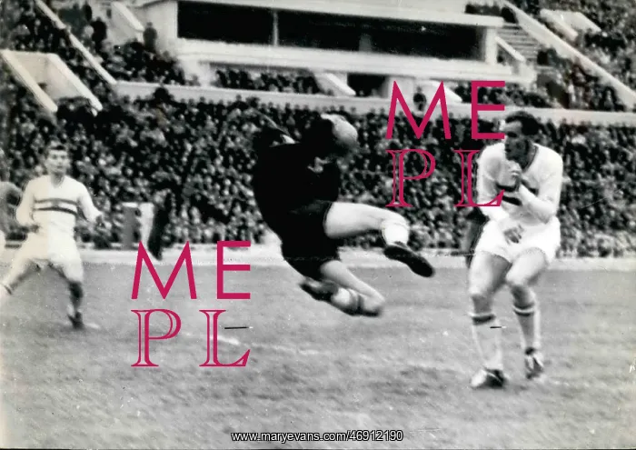: Rugby - Soccer : Rugby - Soccer