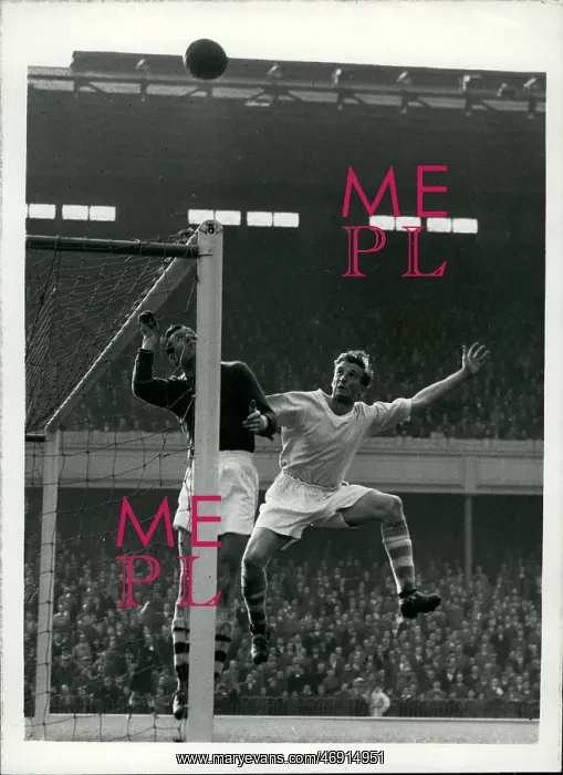 : Rugby - Soccer : Rugby - Soccer