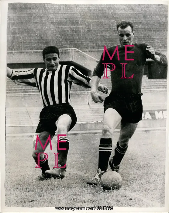 : Rugby - Soccer : Rugby - Soccer