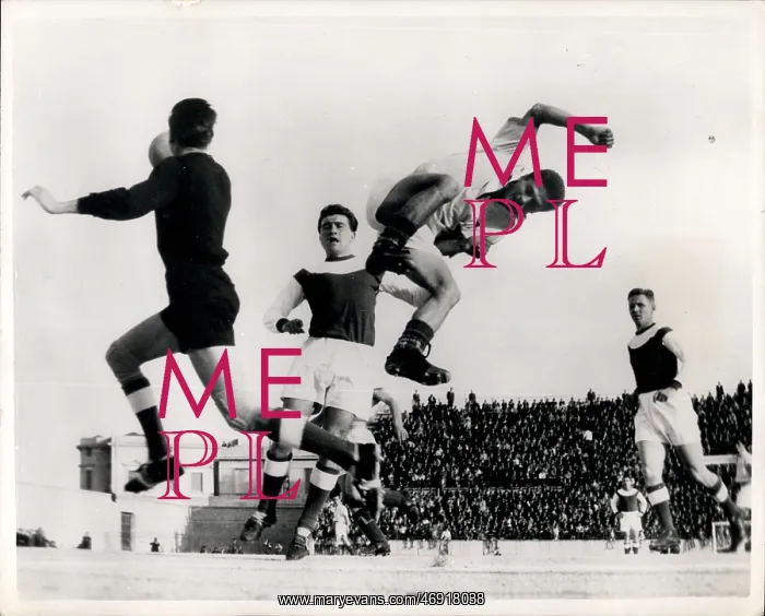 : Rugby - Soccer : Rugby - Soccer